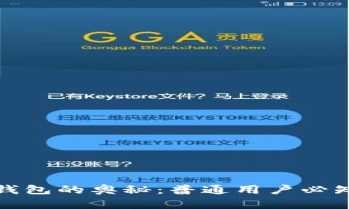揭开区块链钱包的奥秘：普通用户必知的入门知识