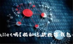 你了解tpWallet吗？揭秘这款