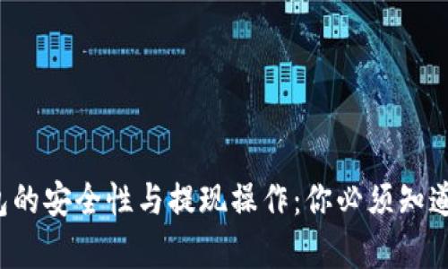 数字钱包的安全性与提现操作：你必须知道的真相！