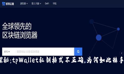 探秘：tpWallet私钥格式不正确，为何如此棘手？