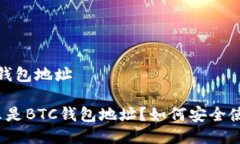 btc钱包地址什么是BTC钱包