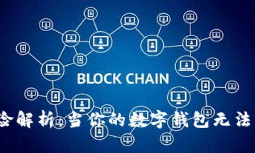 数字钱包交易风险解析：当你的数字钱包无法转账时该怎么办？