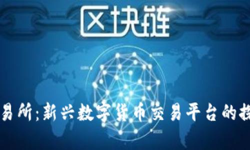 盛源币交易所：新兴数字货币交易平台的探索与分析