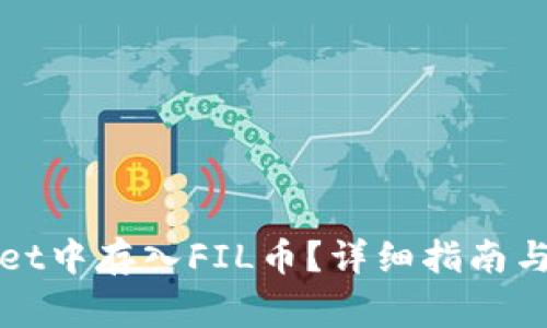 如何在tpWallet中存入FIL币？详细指南与常见问题解答