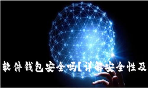 数字货币软件钱包安全吗？详解安全性及使用技巧