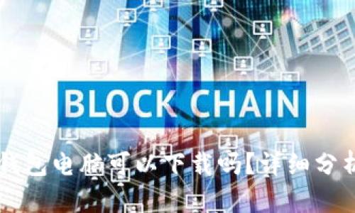 区块链钱包电脑可以下载吗？详细分析与指南