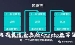 : 如何选择最适合您的Cr