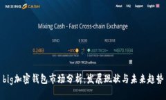 big加密钱包市场分析：发