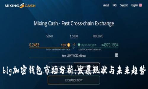 big加密钱包市场分析：发展现状与未来趋势