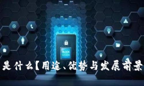 波币是什么？用途、优势与发展前景详解