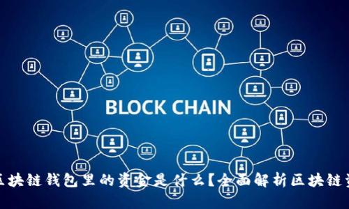 : 区块链钱包里的资金是什么？全面解析区块链资产