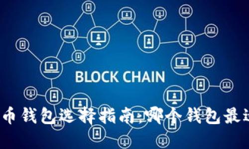 数字货币钱包选择指南：哪个钱包最适合你？