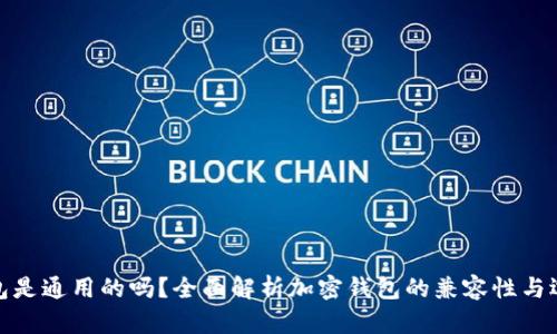 加密钱包是通用的吗？全面解析加密钱包的兼容性与选择策略