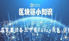  如何在苹果设备上下载