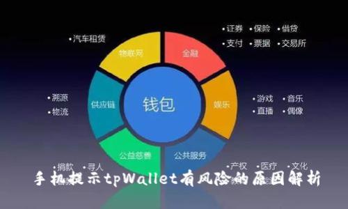 手机提示tpWallet有风险的原因解析