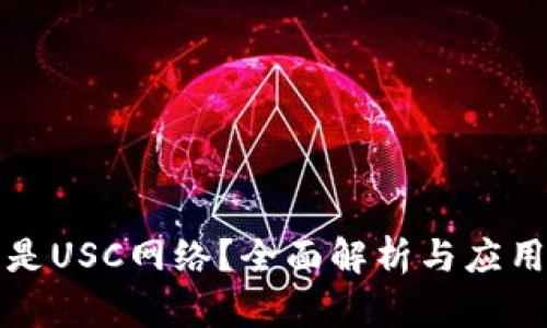 什么是USC网络？全面解析与应用场景
