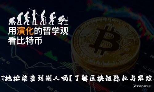 USDT地址能查到别人吗？了解区块链隐私与跟踪问题