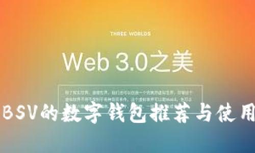 支持BSV的数字钱包推荐与使用指南