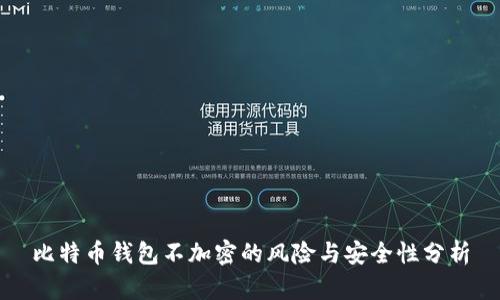 比特币钱包不加密的风险与安全性分析