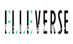 如何开发支持USDT的区块链