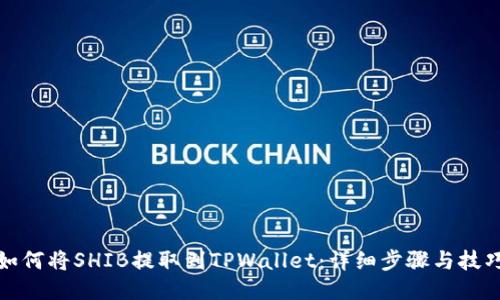 如何将SHIB提取到TPWallet：详细步骤与技巧