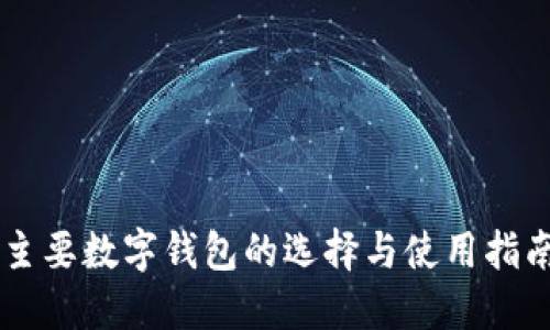 主要数字钱包的选择与使用指南