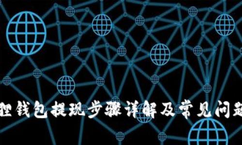 小狐狸钱包提现步骤详解及常见问题解答