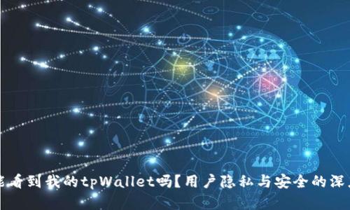 别人能看到我的tpWallet吗？用户隐私与安全的深度解析