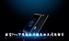 波宝Pro下载流程详解及相关问题解答