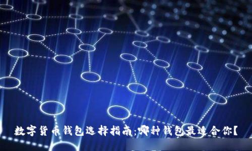 数字货币钱包选择指南：哪种钱包最适合你？