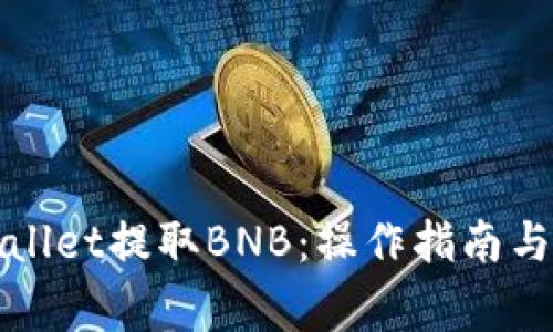 如何使用tpWallet提取BNB：操作指南与常见问题解答