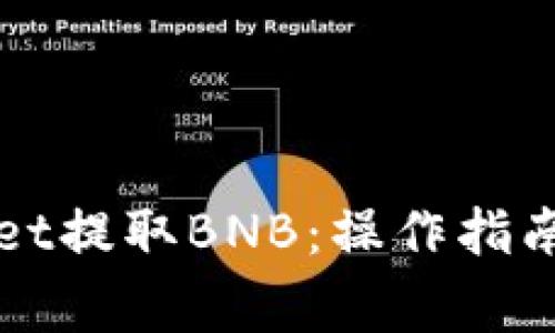 如何使用tpWallet提取BNB：操作指南与常见问题解答