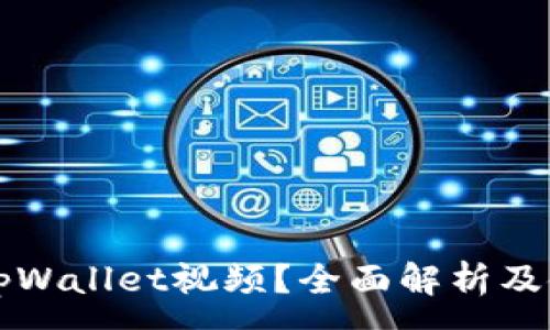 :
什么是tpWallet视频？全面解析及使用指南