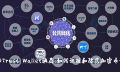 揭秘Trust Wallet骗局：如何
