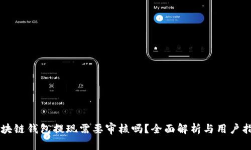 区块链钱包提现需要审核吗？全面解析与用户指南