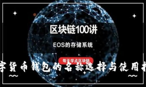 数字货币钱包的名称选择与使用指南
